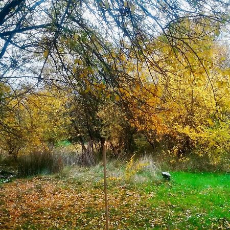 La Yurta De Gaia Villa San Lorenzo de El Escorial Ngoại thất bức ảnh